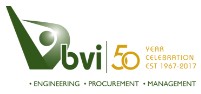 BVI Group