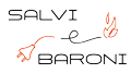 SalviBaroni Srl