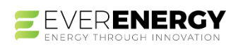 Ever Energy Group