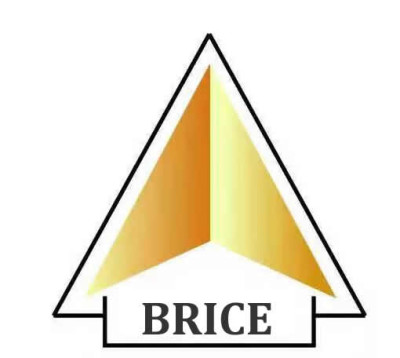 Chongqing Brice Technology Co., Ltd. (Brice Solar)