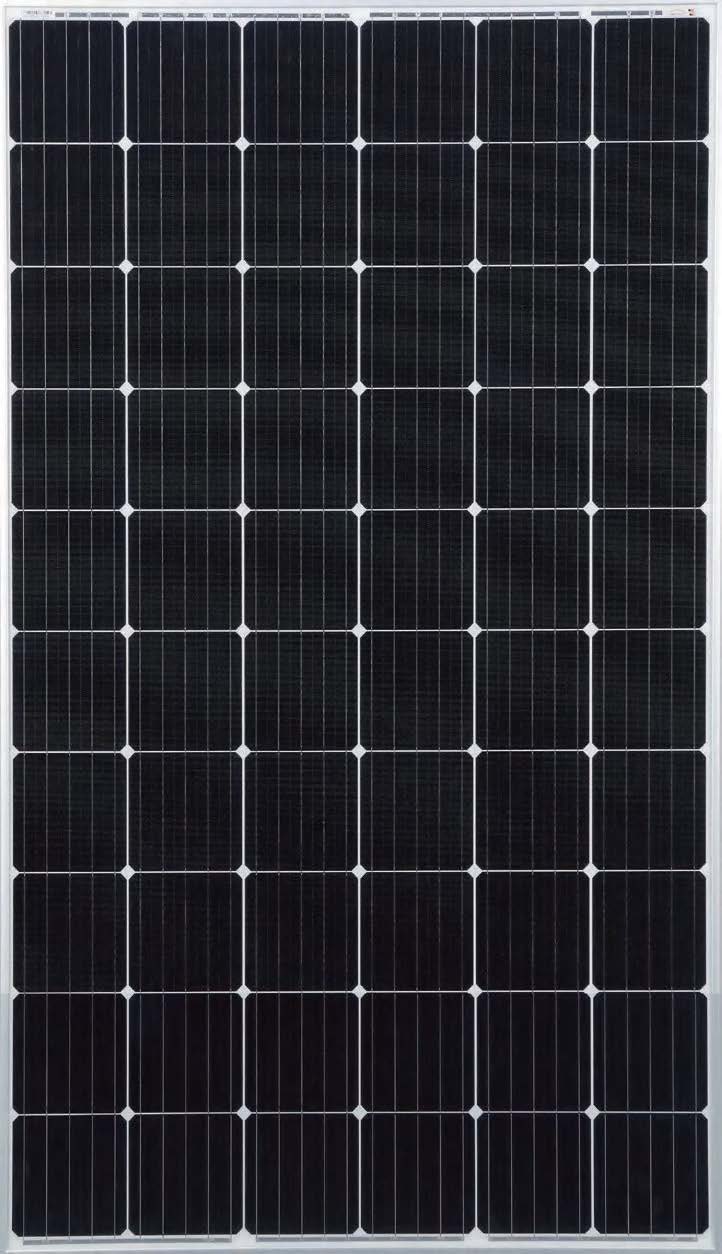 SPV310-320-PM2-60 (Transparent Backsheet available)