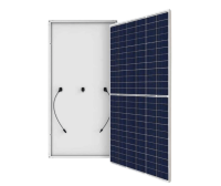 Mono Bifacial 595W