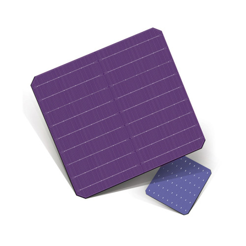 M6 166mm Mono PERC Bifacial